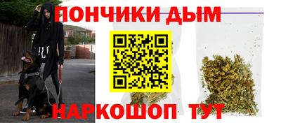 шишки Изобильный