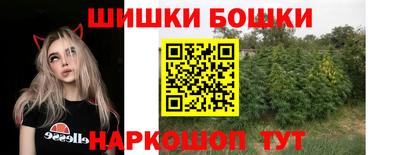 шишки Изобильный