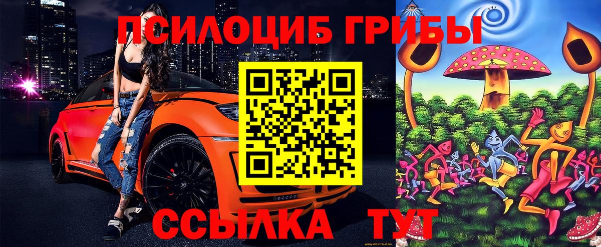 Галлюциногенные грибы Psilocybe  Вход с VPN  Кызыл 