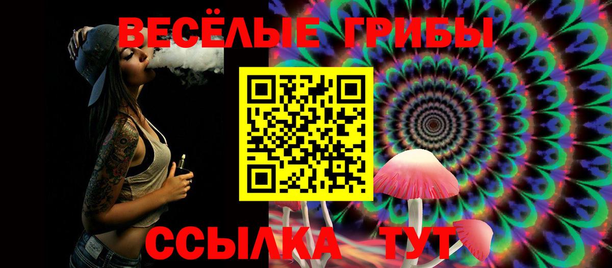 Псилоцибиновые грибы MAGIC MUSHROOMS Кызыл